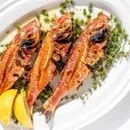 Molos Restaurant — photo 23