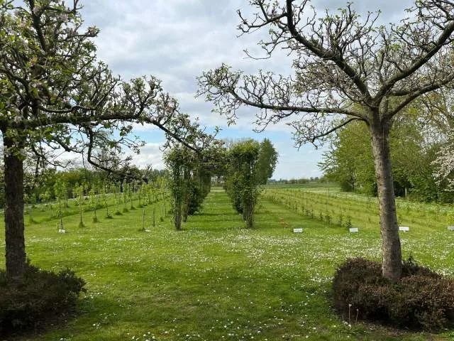 La Table de Christophe Dufossé — photo 63