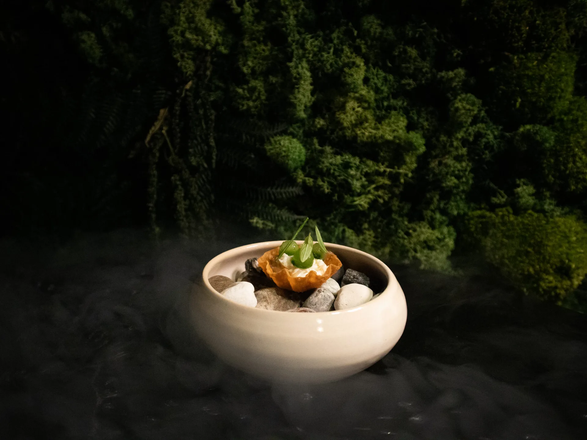 Alimentum — photo 13