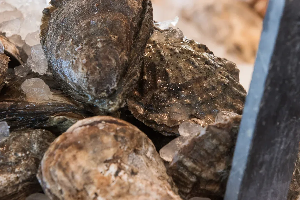Shell & Bones Oyster Bar and Grill — photo 13