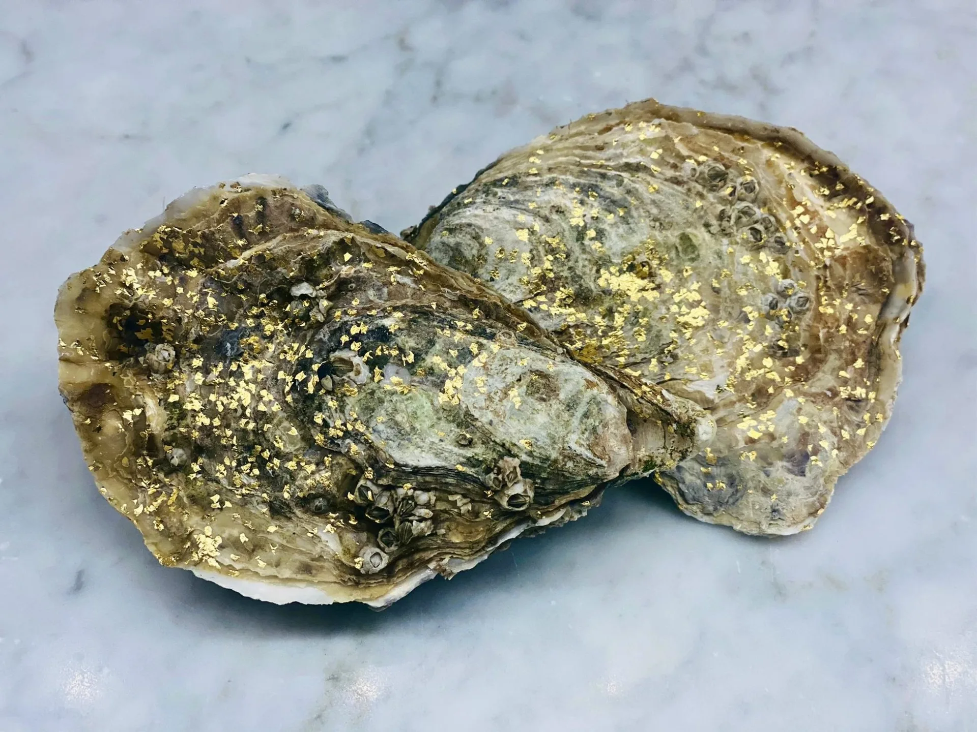 Seafood Station — photo 92
