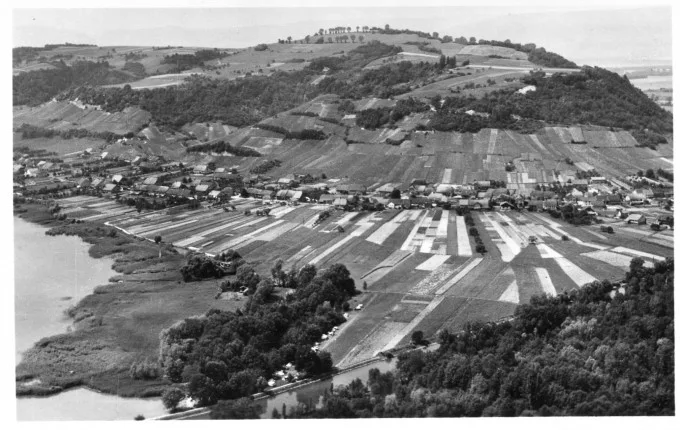Le Mont-Vully — photo 4