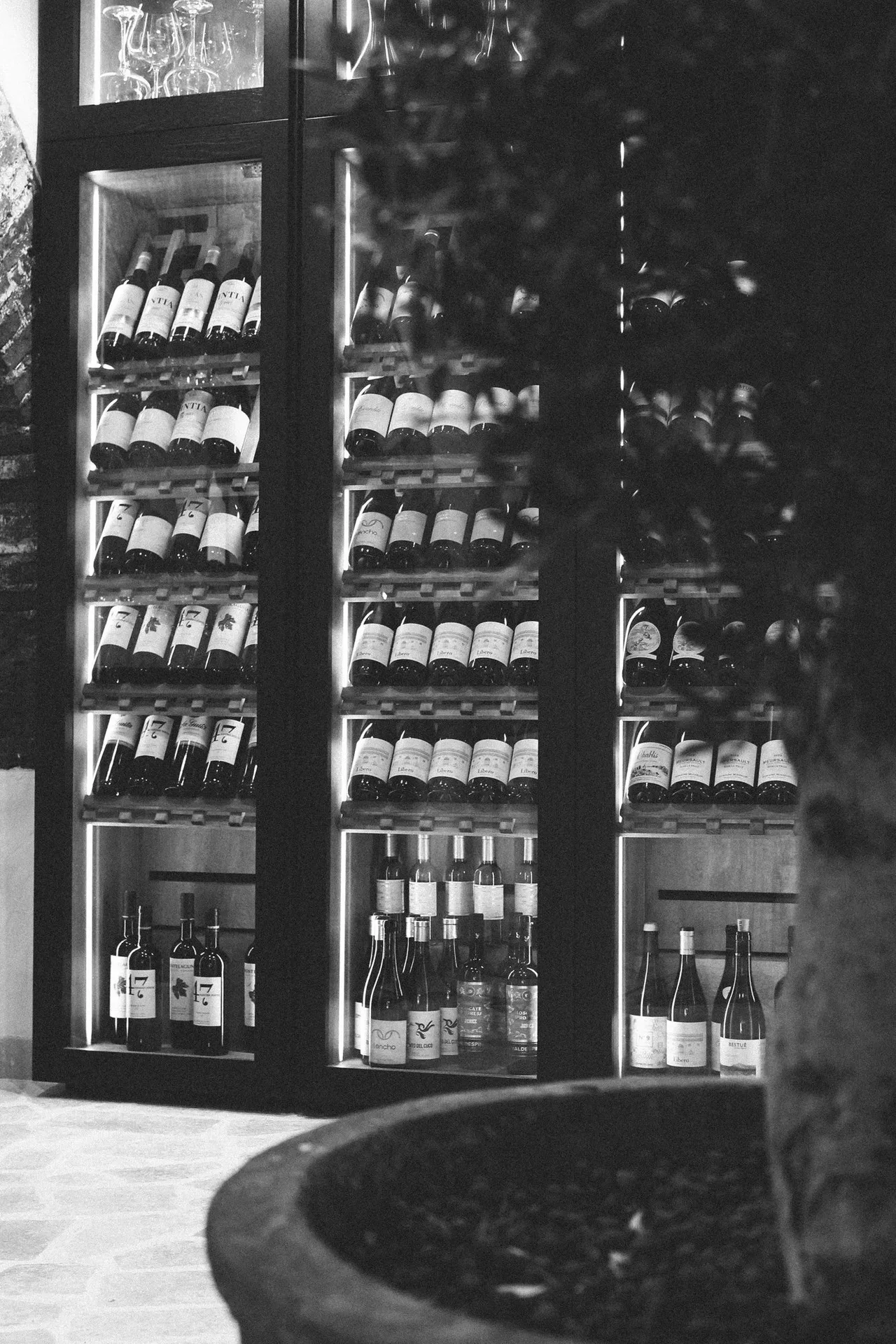 Elysium — photo 20