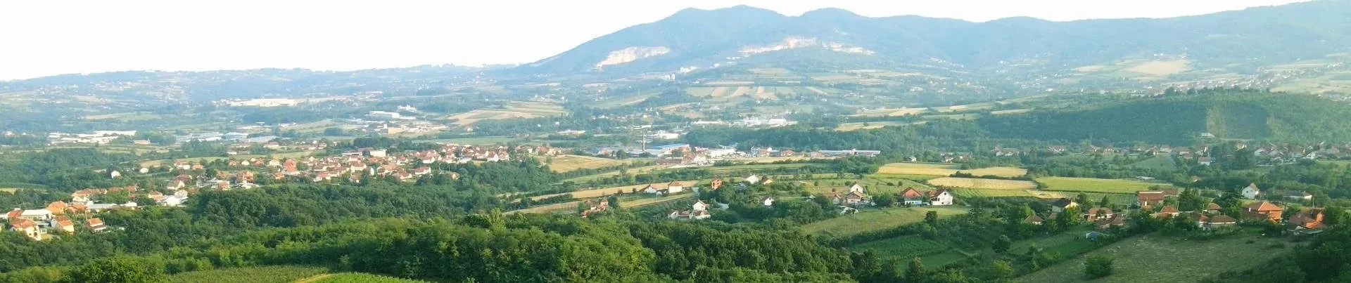 VINARIJA TARPOŠ — photo 41