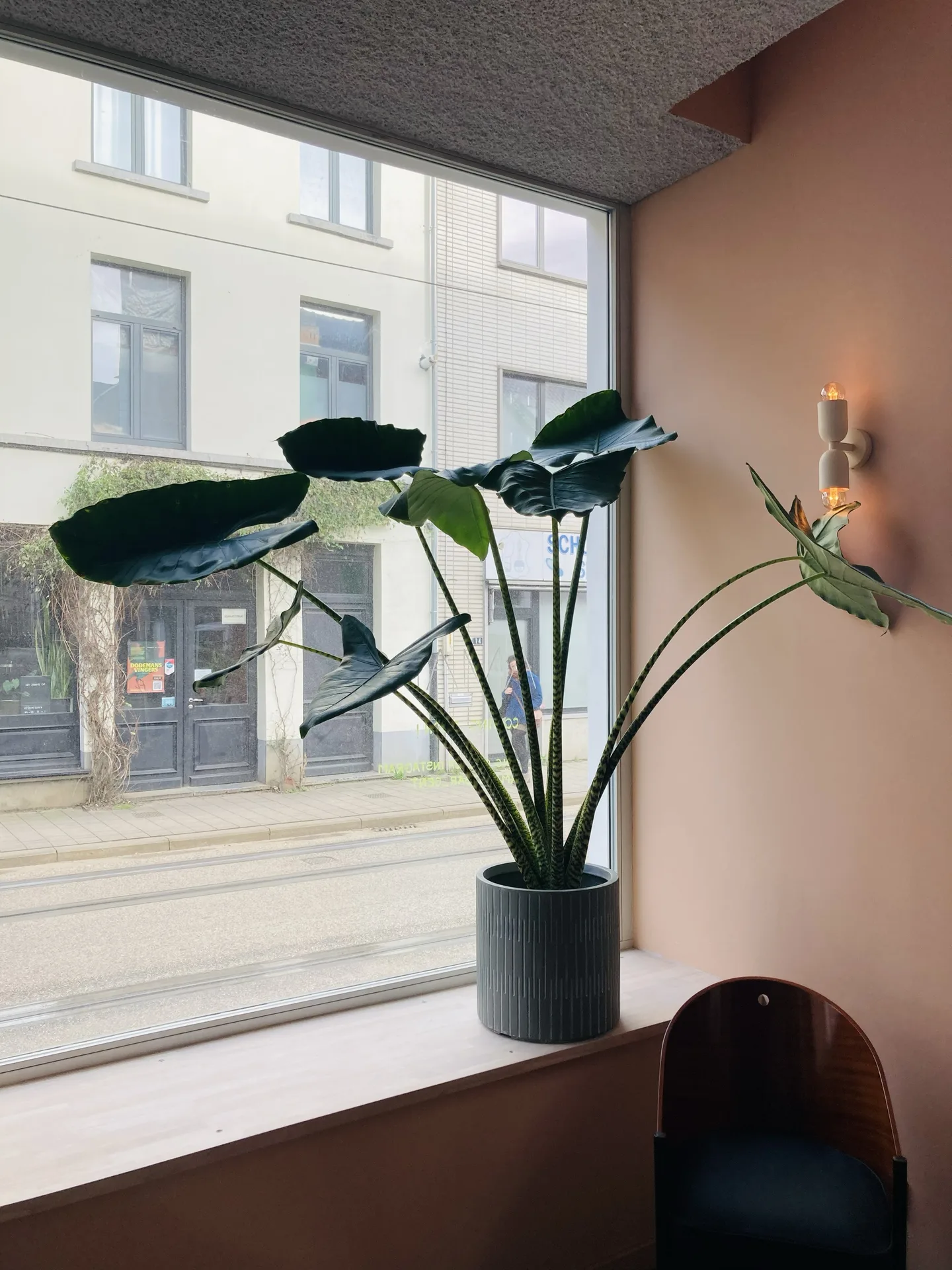 Amaro — photo 26