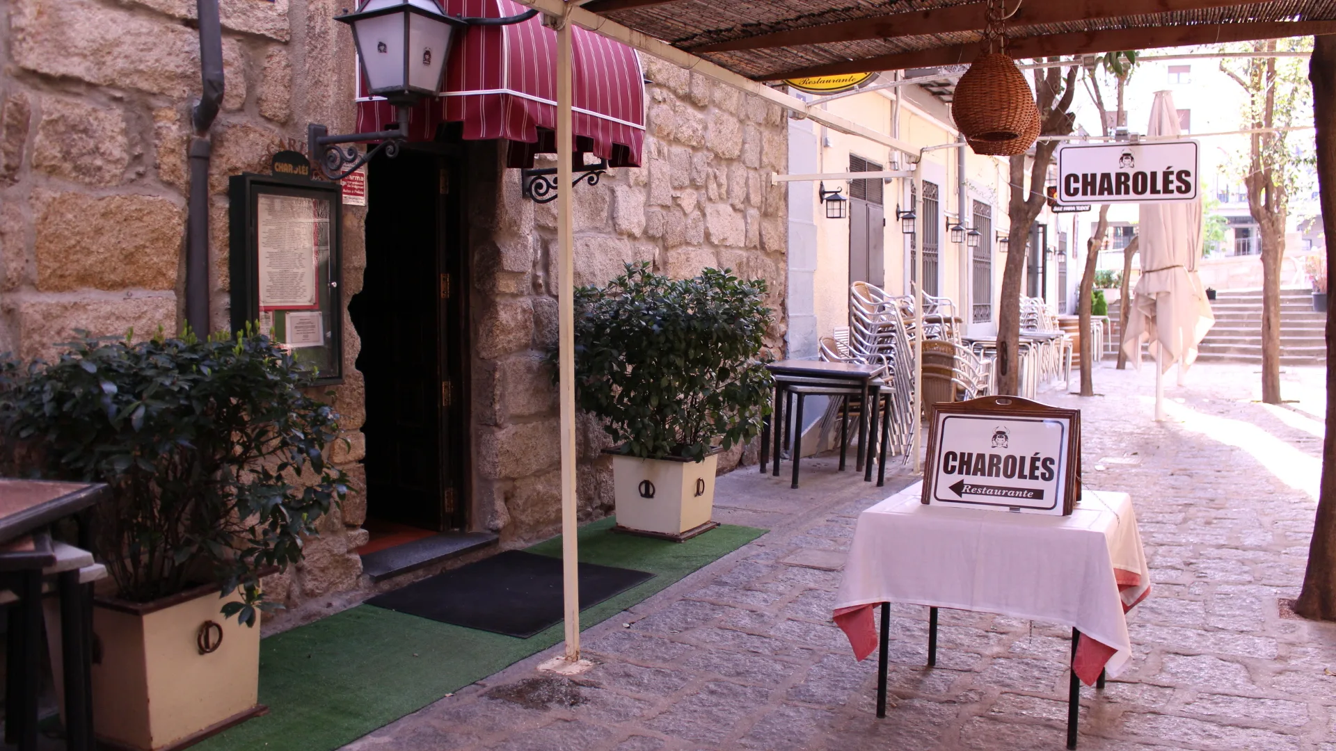 Charolés — photo 17