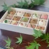 KASHIWAI — food