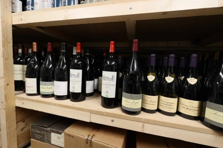 De Maurice à Olivier — photo 29