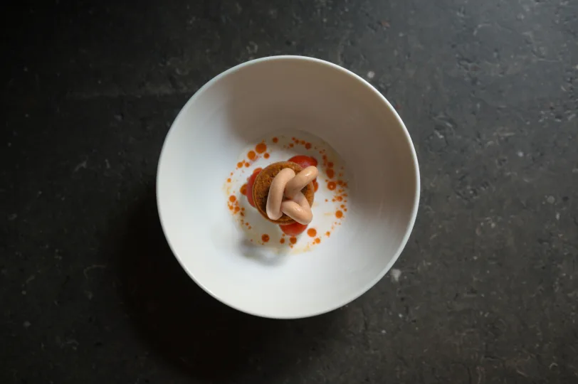Coda — photo 21