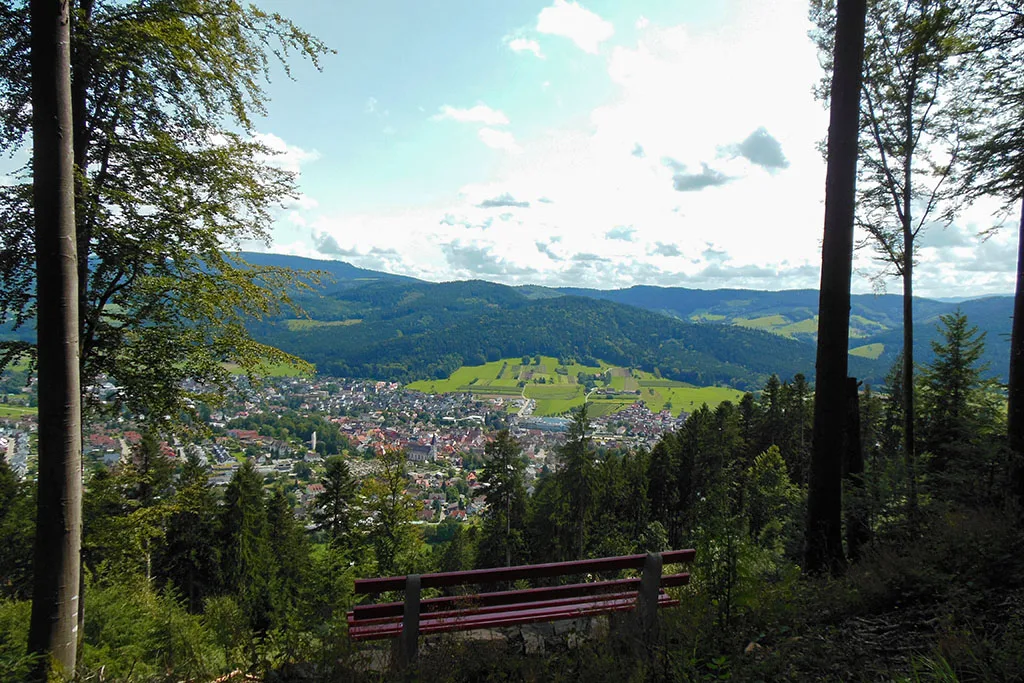 Gasthaus zum Pflug — atmosphere