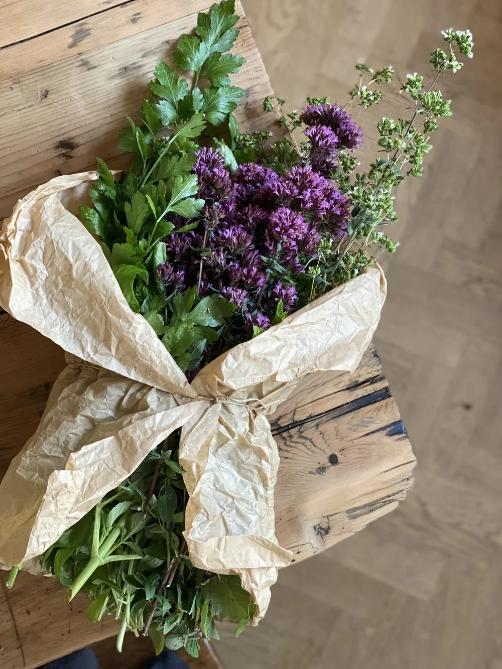 Emilia — photo 22