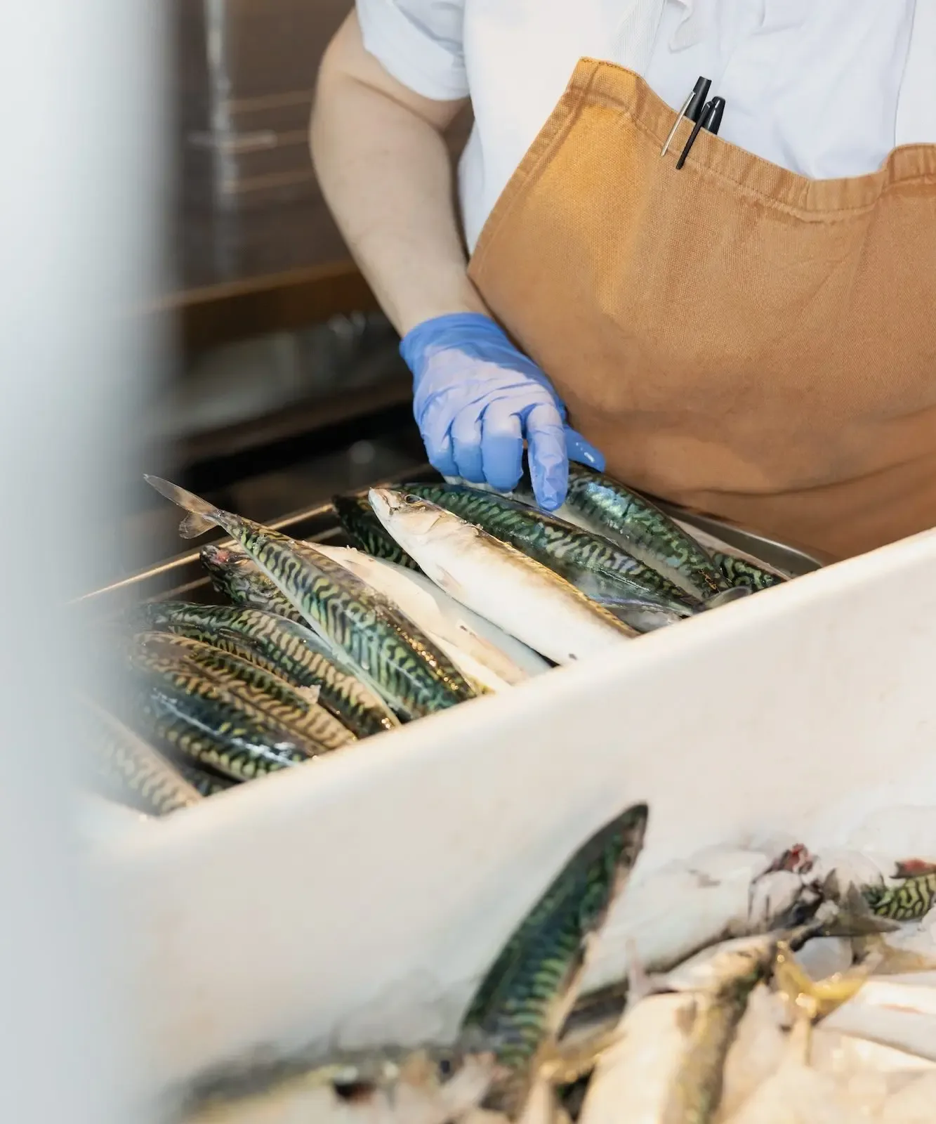 Fish Shop — photo 8