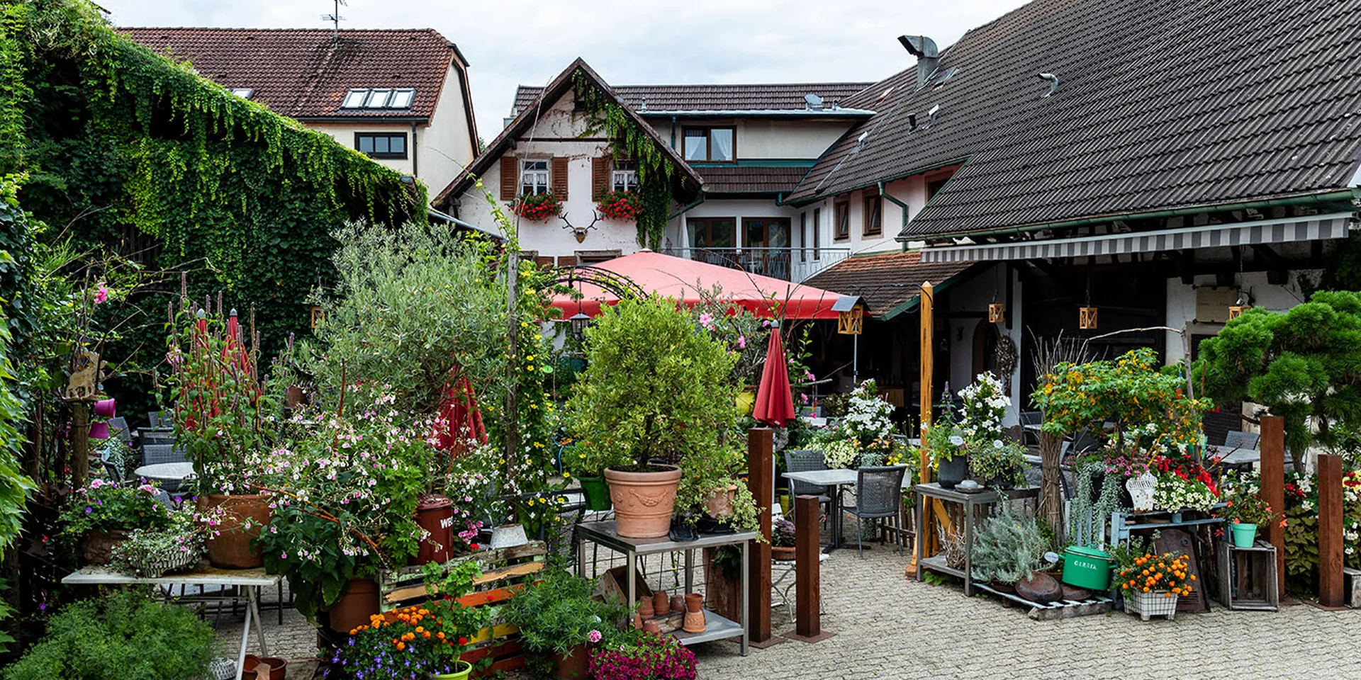 Kininger’s Hirsch — photo 64