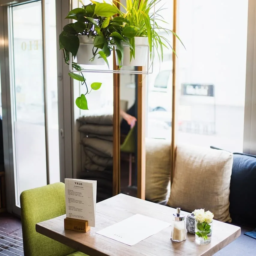 Velo Restaurant — photo 8