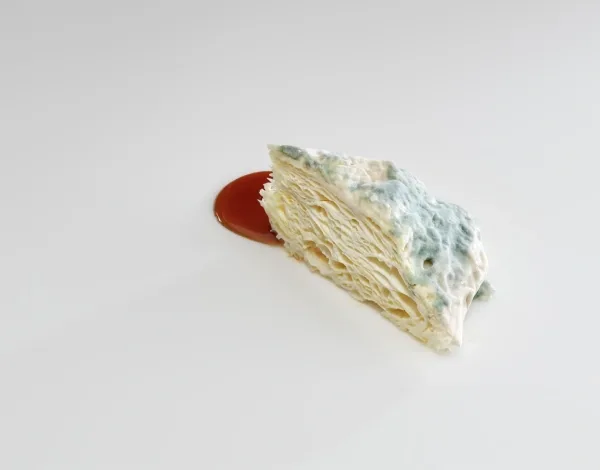 Mugaritz — photo 6