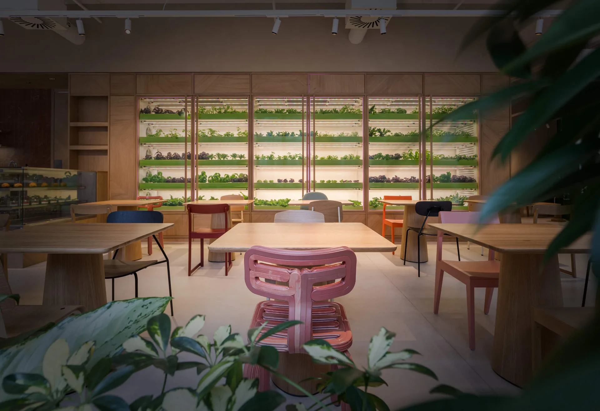 GREEN TABLE — photo 28