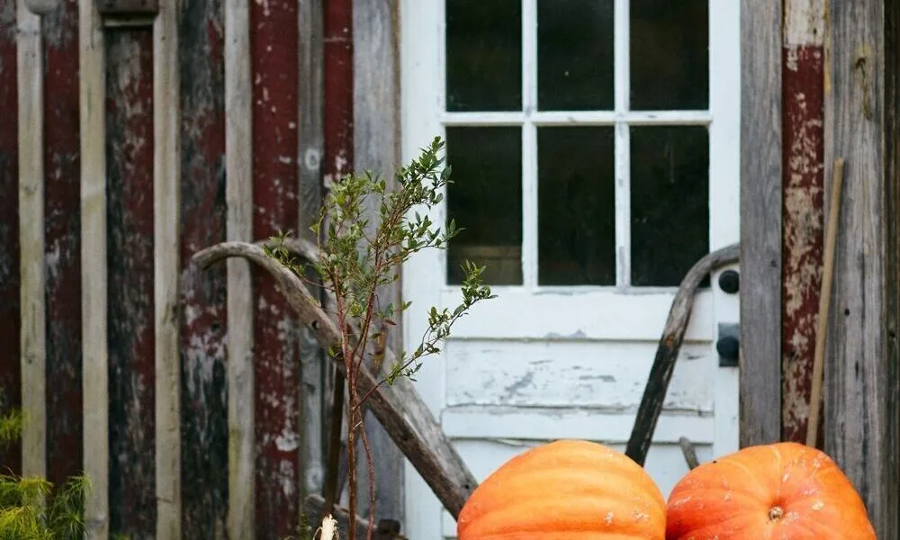 The Barn at Blackberry Farm — photo 44