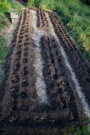 Barndiva — photo 44