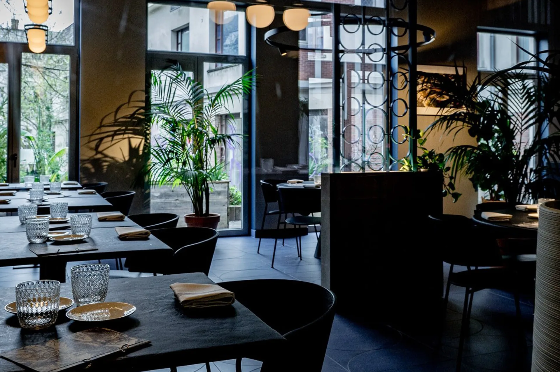 ViEr — photo 12