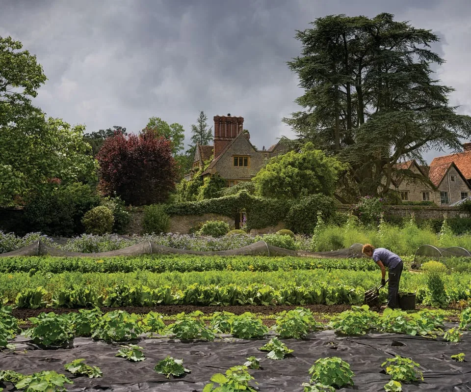 Le Manoir aux Quat'Saisons — photo 8