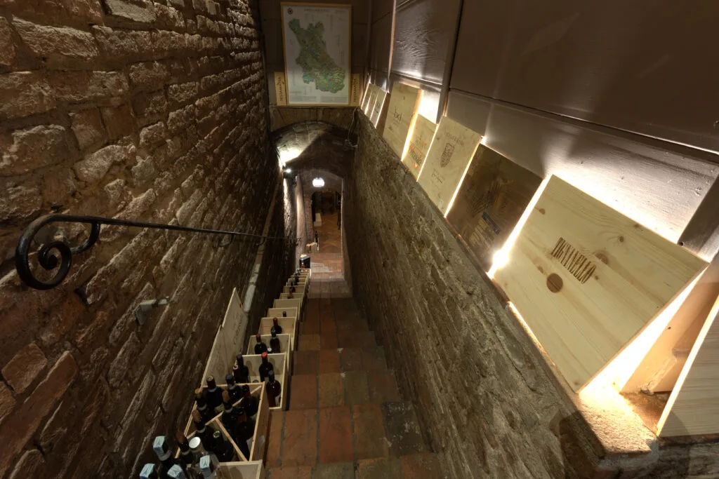 Gallo Nero — photo 14