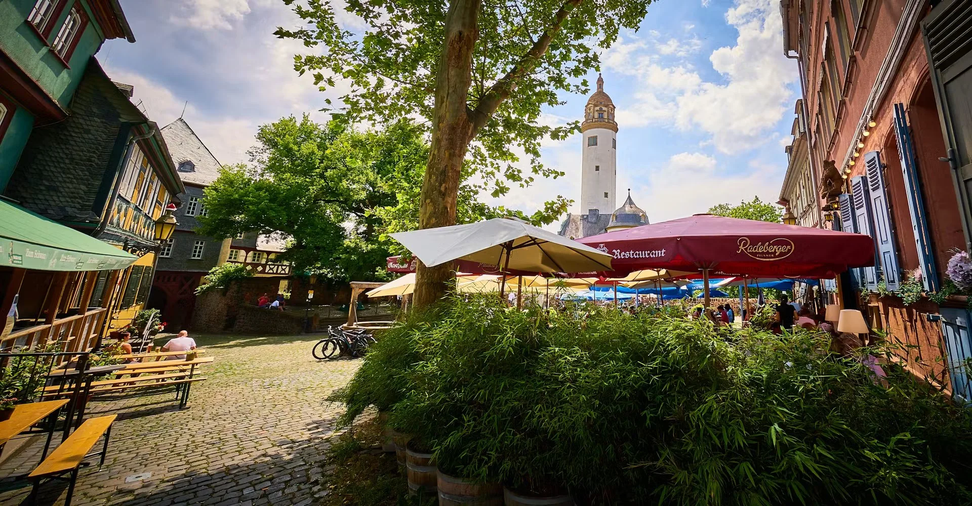Gasthaus Zum Bären — photo 6