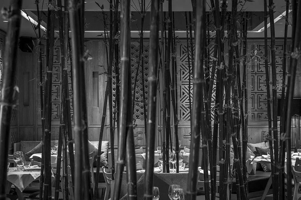 Lily's — photo 31