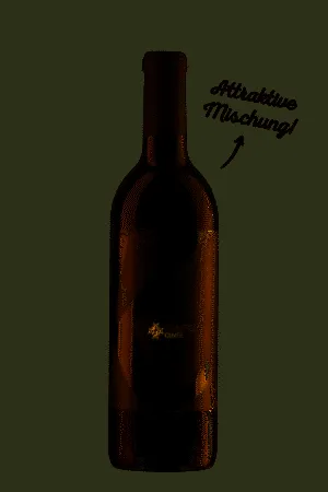 Weindomizil Hagn — photo 5