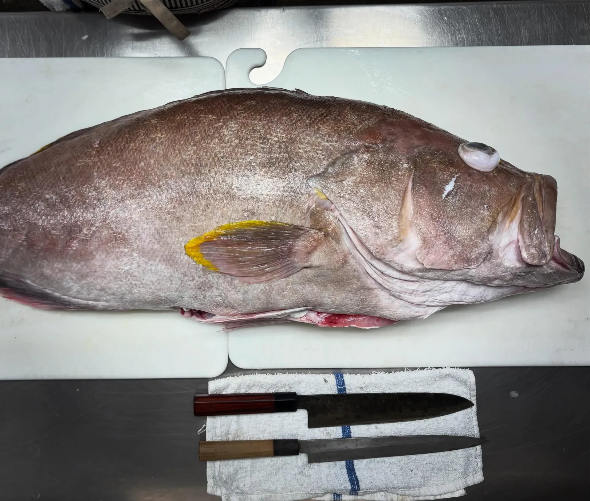 Hot and Hot Fish Club — photo 20