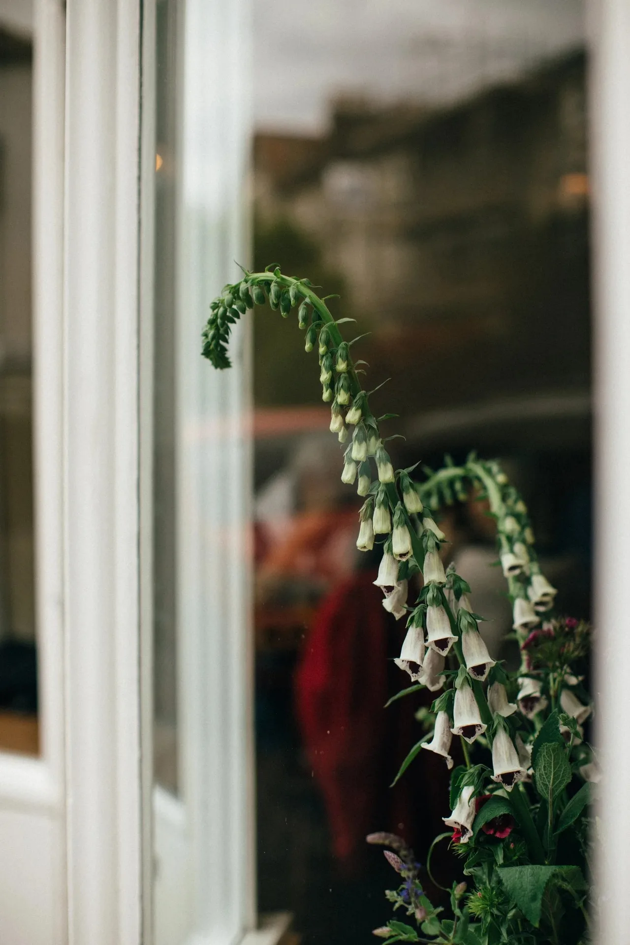 Wilsons — photo 7