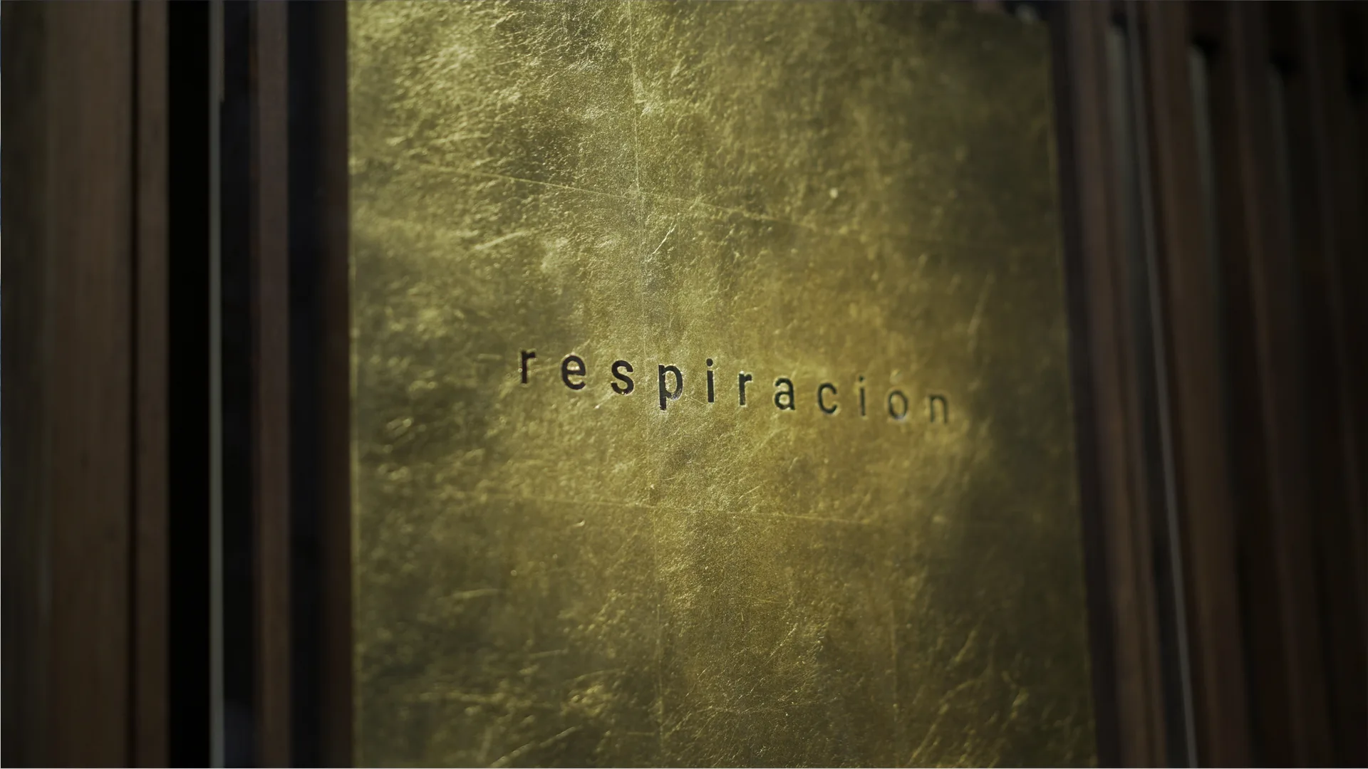 Respiracion — photo 12