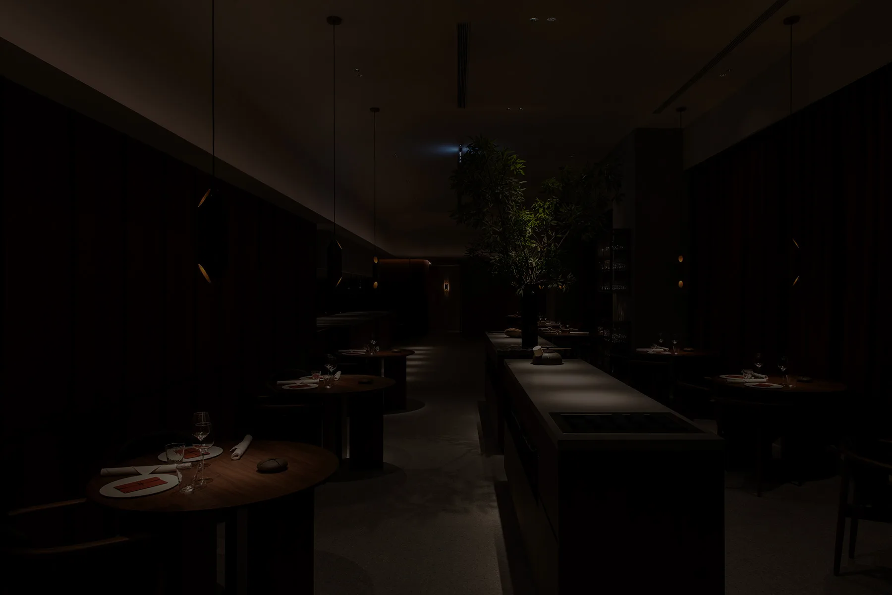 logy — photo 10