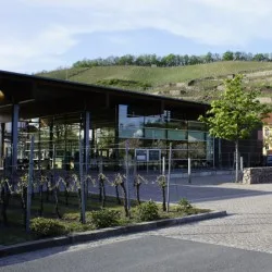 Restaurant Gaumenkitzel — photo 19