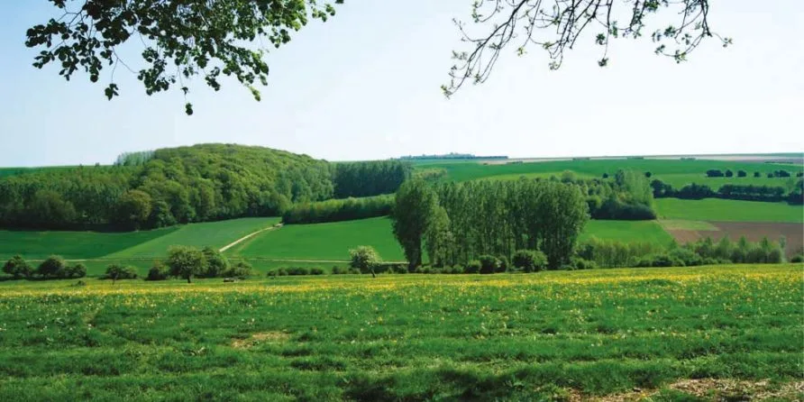 Le Clos de la Prairie — atmosphere