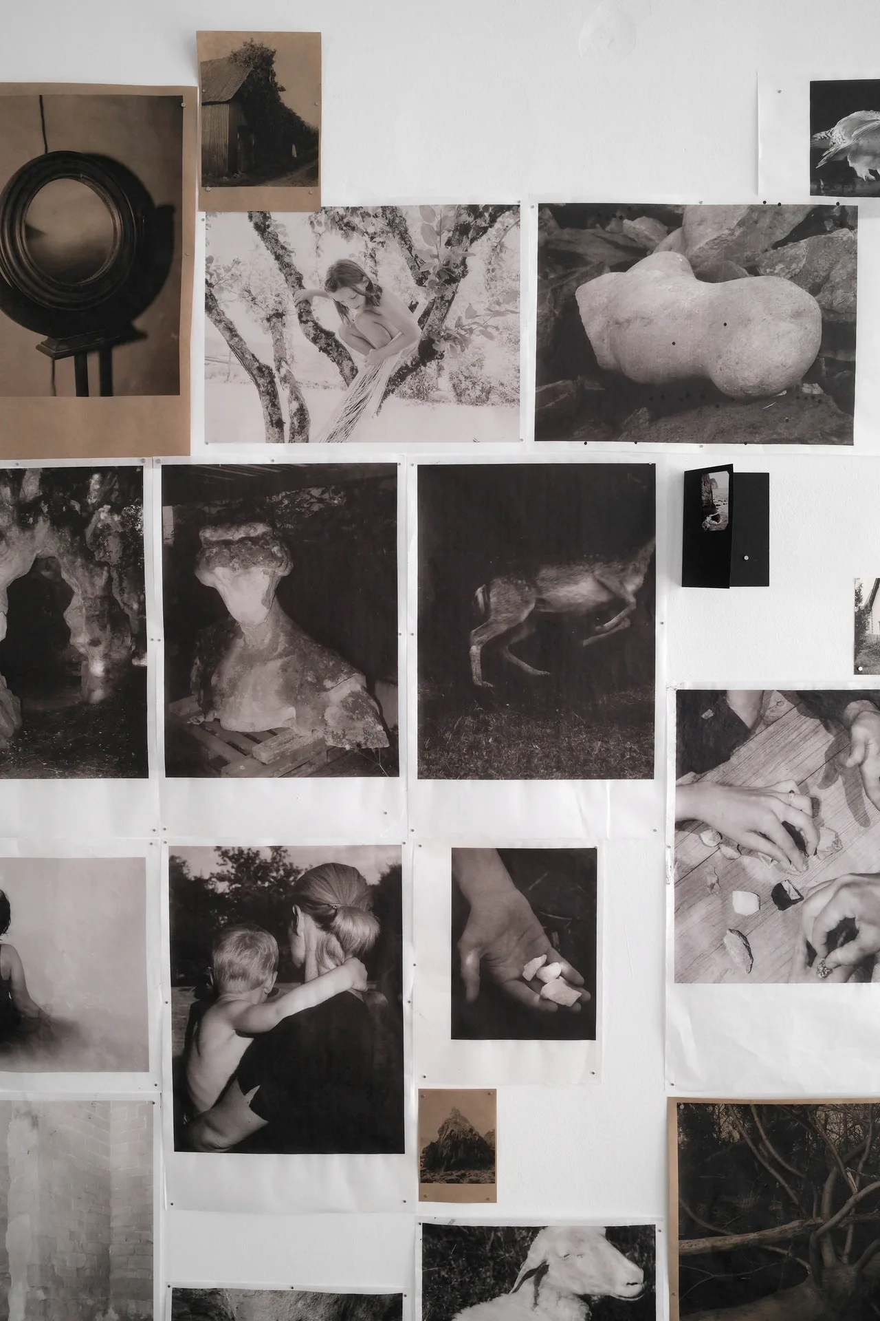 Studio Cluster — photo 39