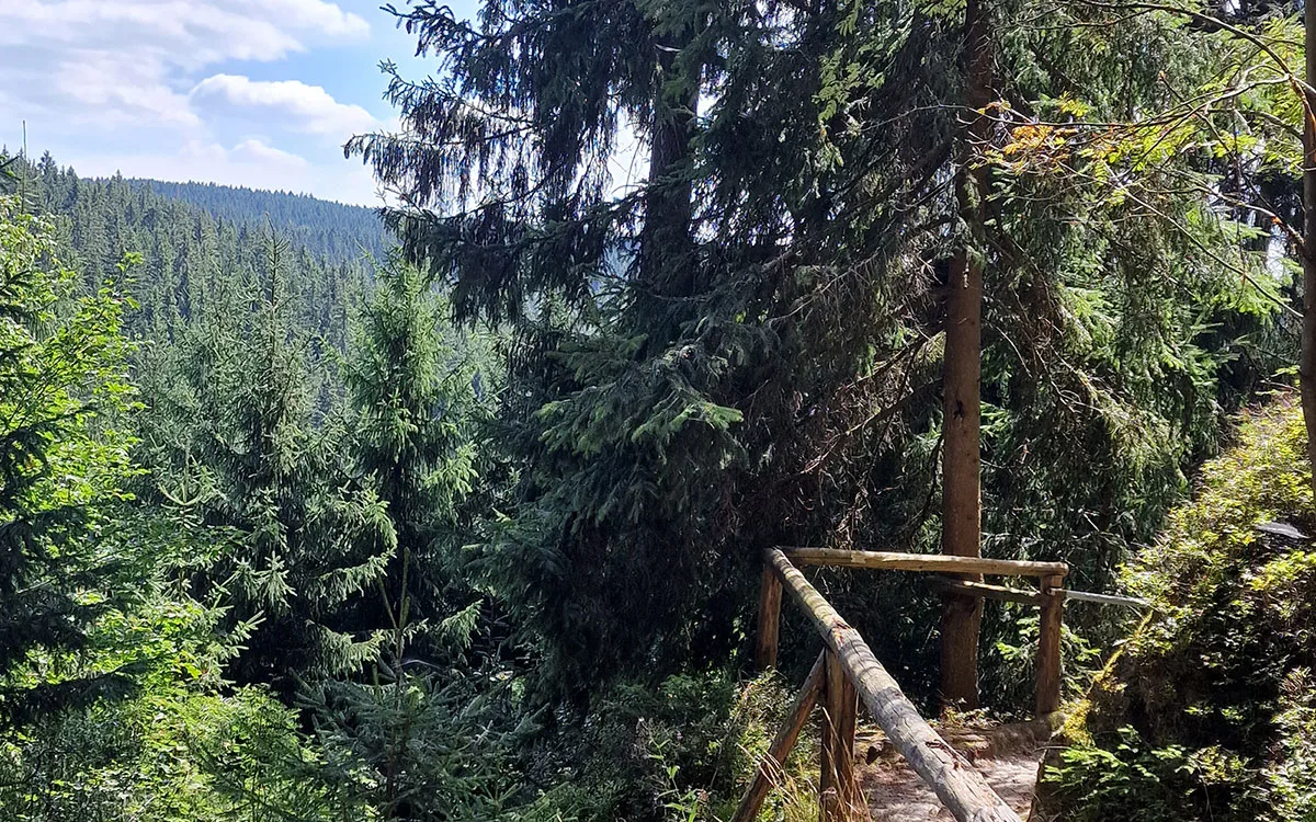 Restaurant Schwarzbeerschänke — photo 13