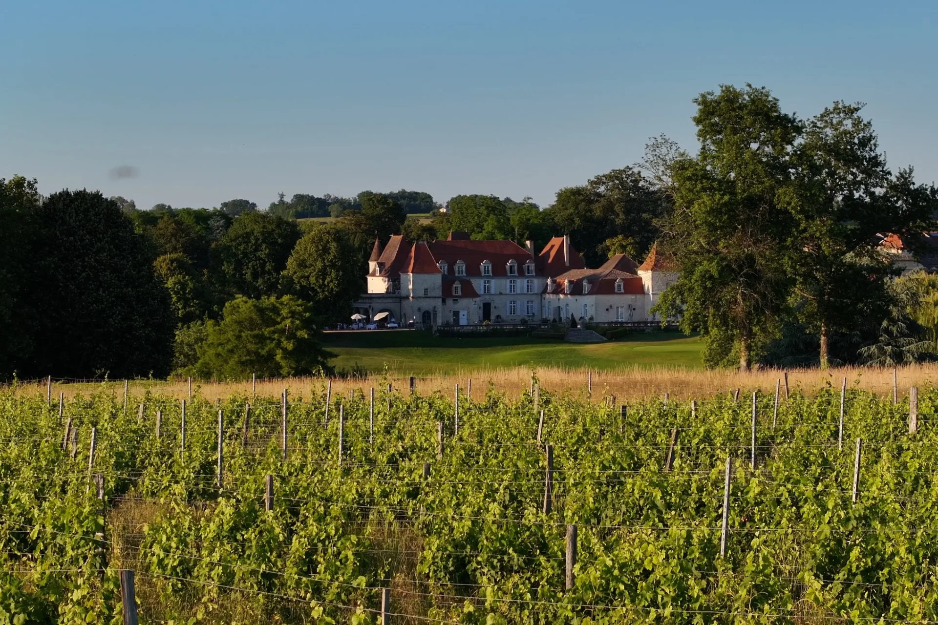 Les Fresques — photo 10
