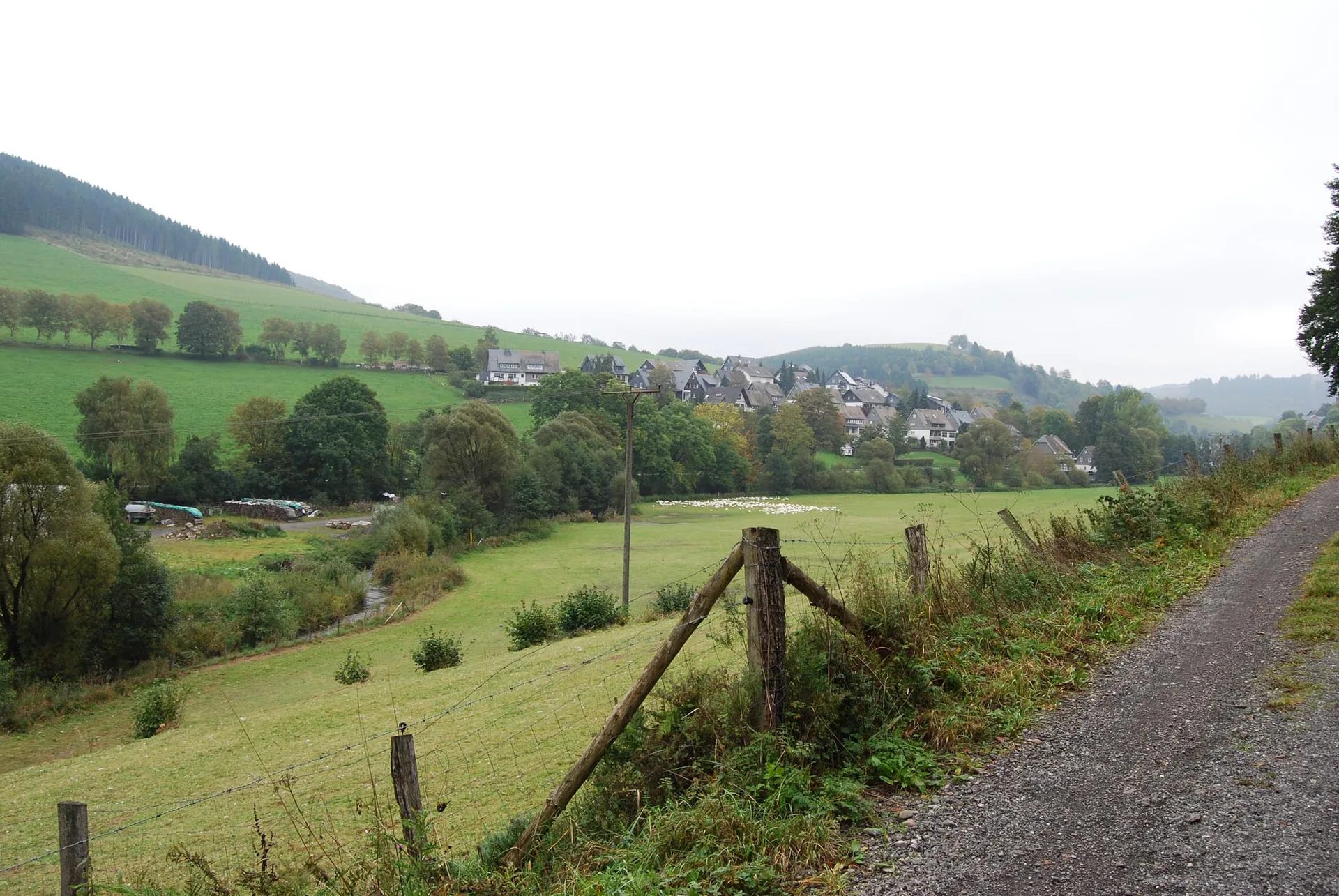 Landgasthof Schneider — photo 4