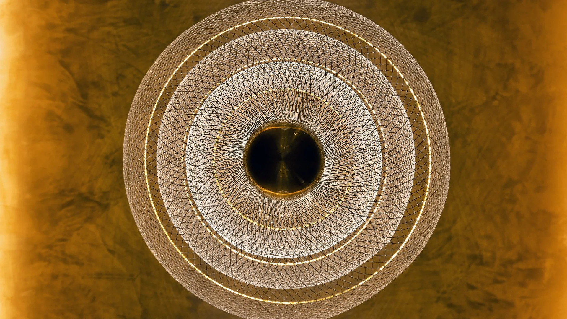 53 — photo 40