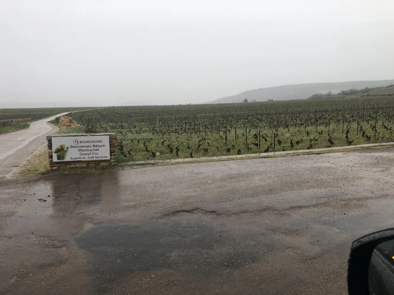 La Bécasse — photo 100