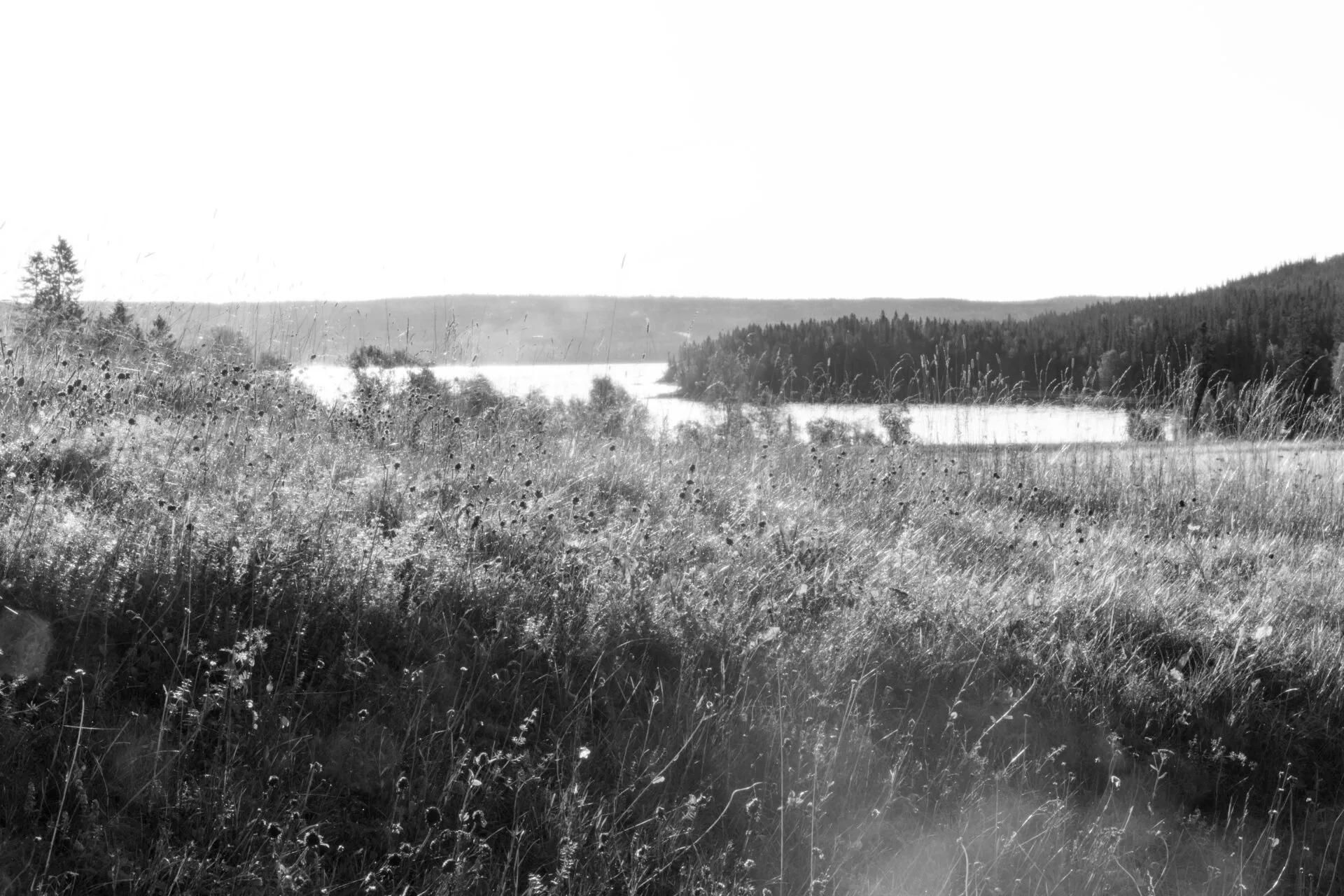 Fäviken — atmosphere