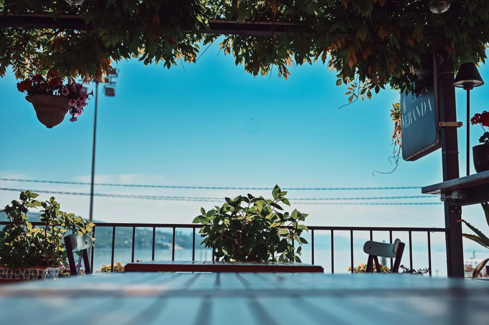 Ostaria Veranda — photo 120