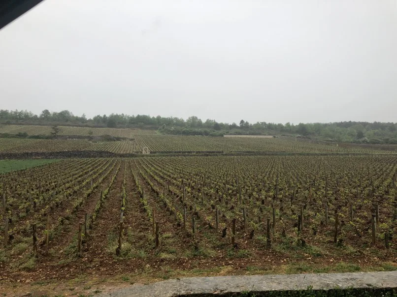 La Bécasse — photo 90