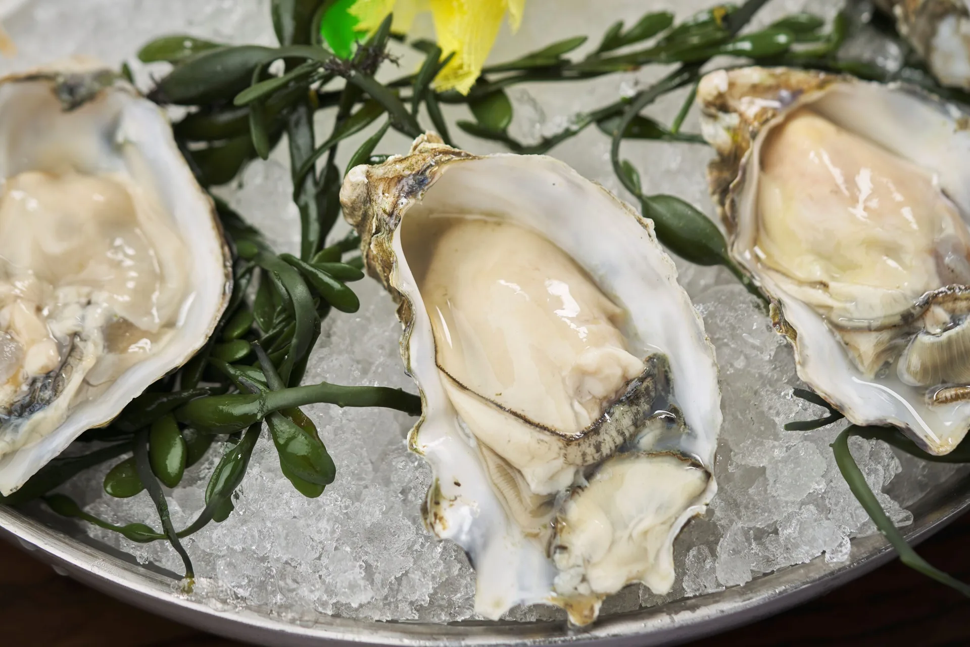 Truluck's — photo 24