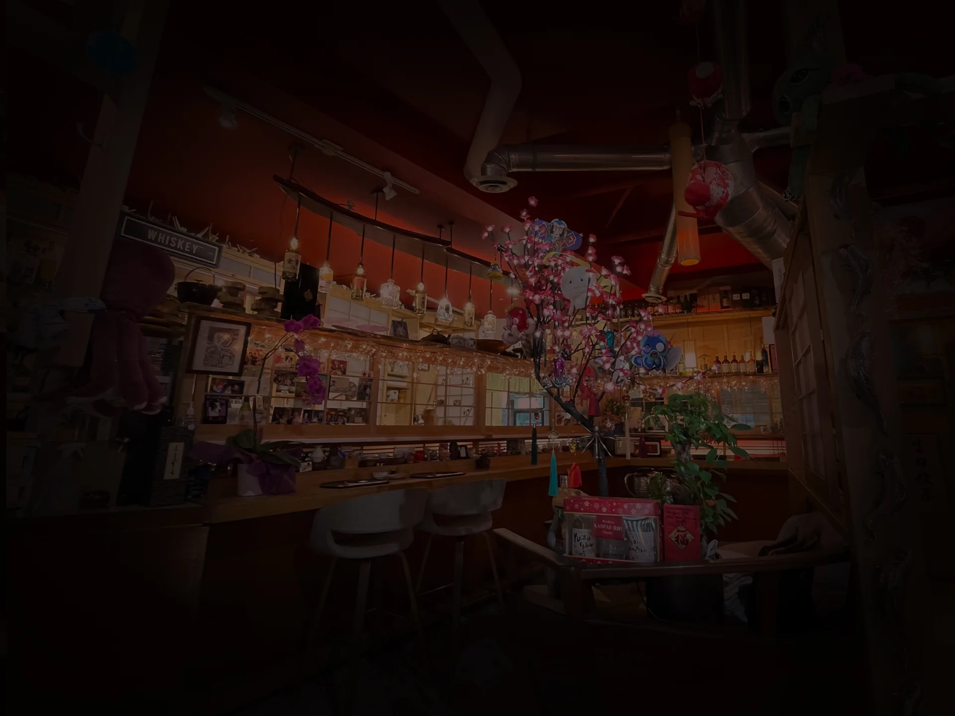 Octopus Garden — photo 11
