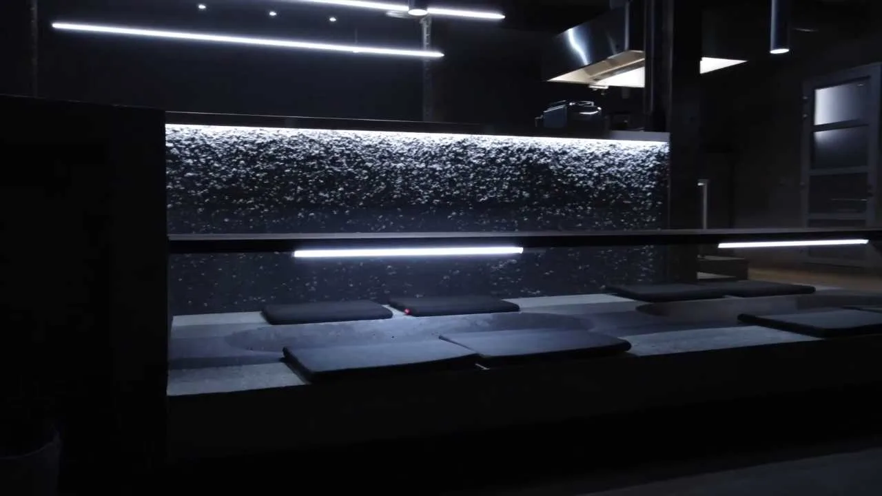 Dojo — photo 38