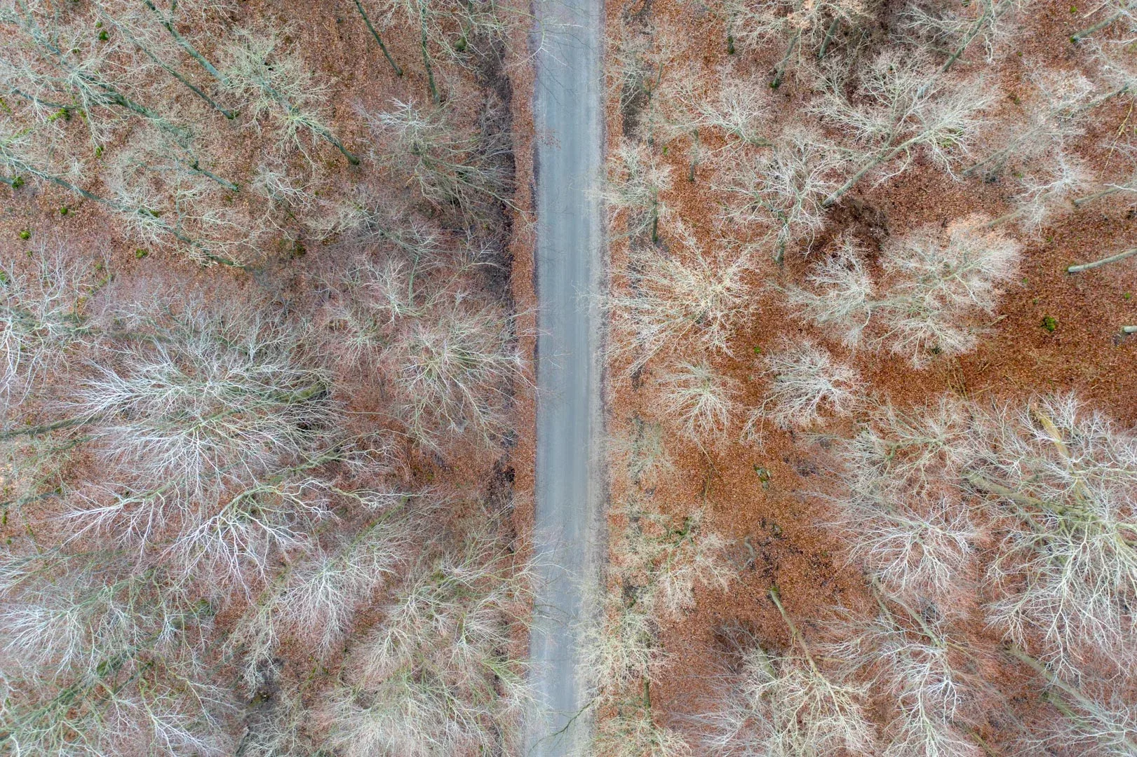 Örum 119 — photo 109