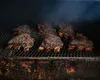 Franklin Barbecue — photo 7