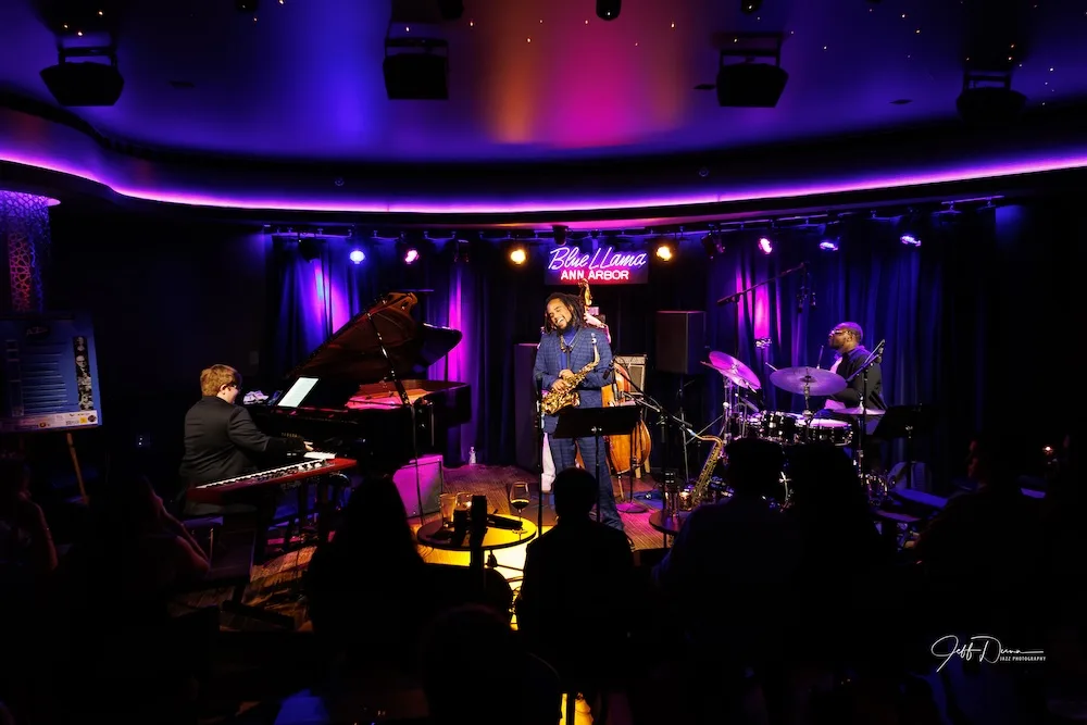 The Blue Llama Jazz Club — photo 43