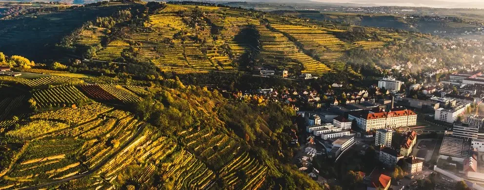 Weingut Nigl — photo 32